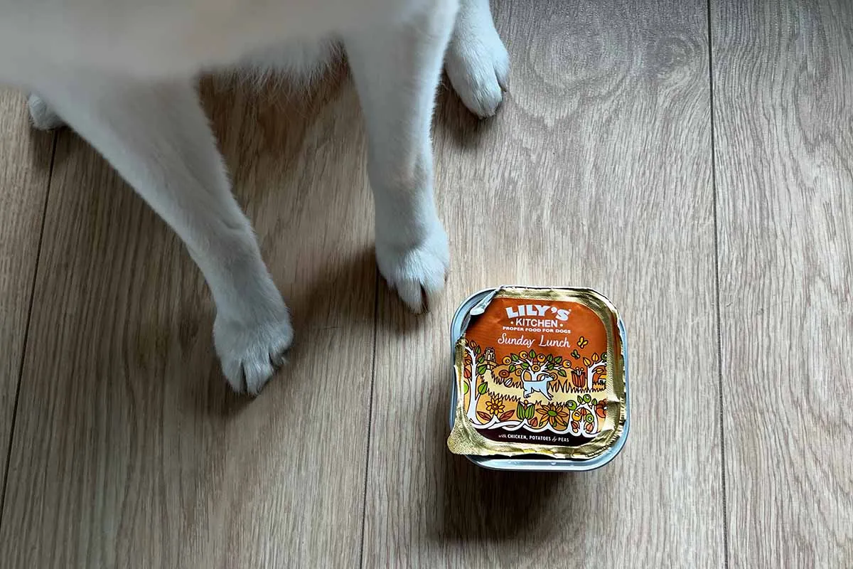 Lily's Kitchen canned wet dog food and dry kibble bag on a counter