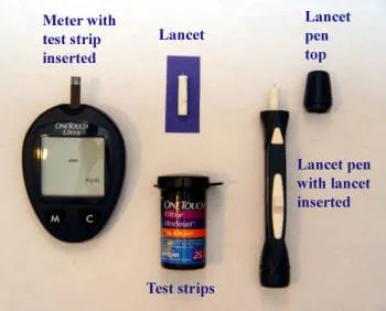 Loaded glucometer setup for testing blood glucose in cats with diabetes