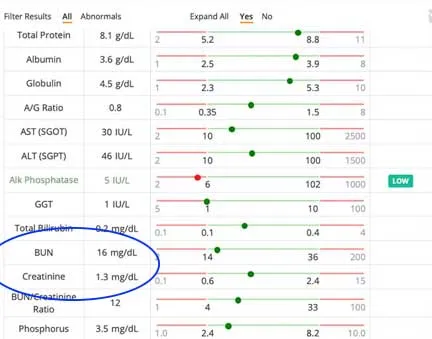 Low protein and albumin