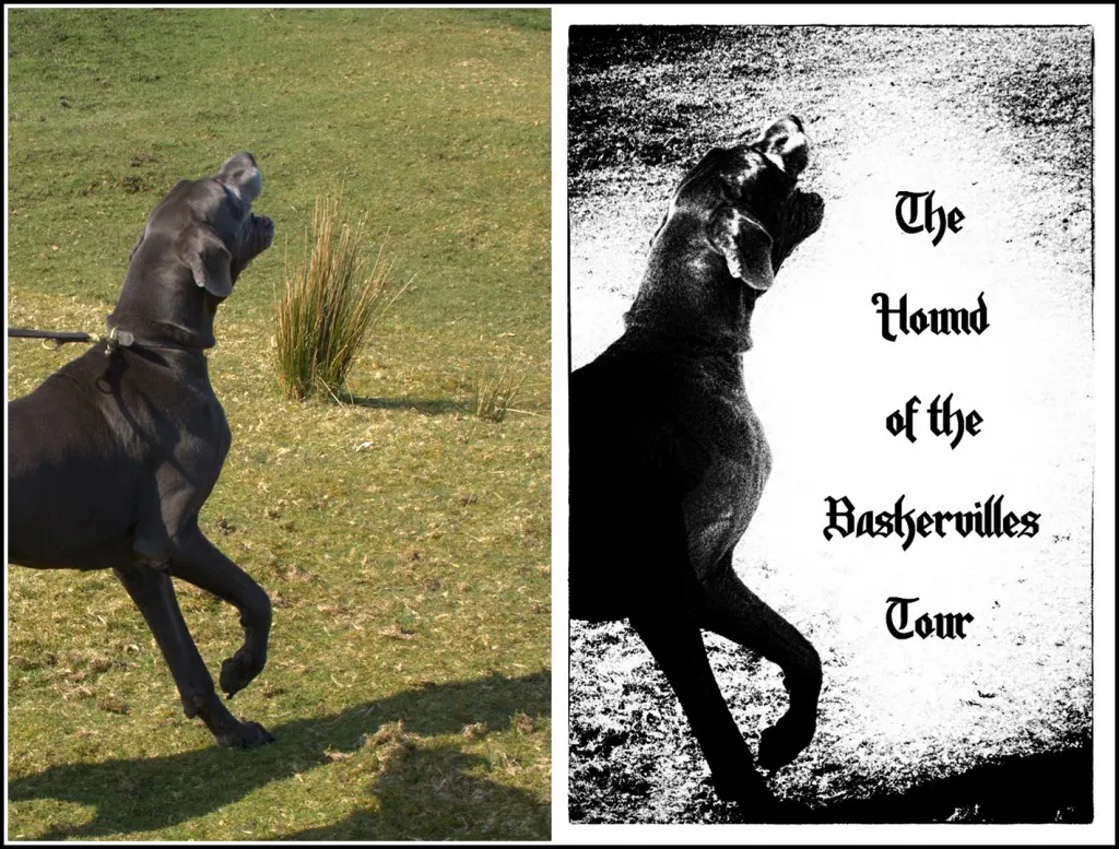 Luther standing majestically, captured in an image for The Hound of the Baskervilles Tour