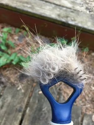 Magic Coat deshedding tool with cat hair