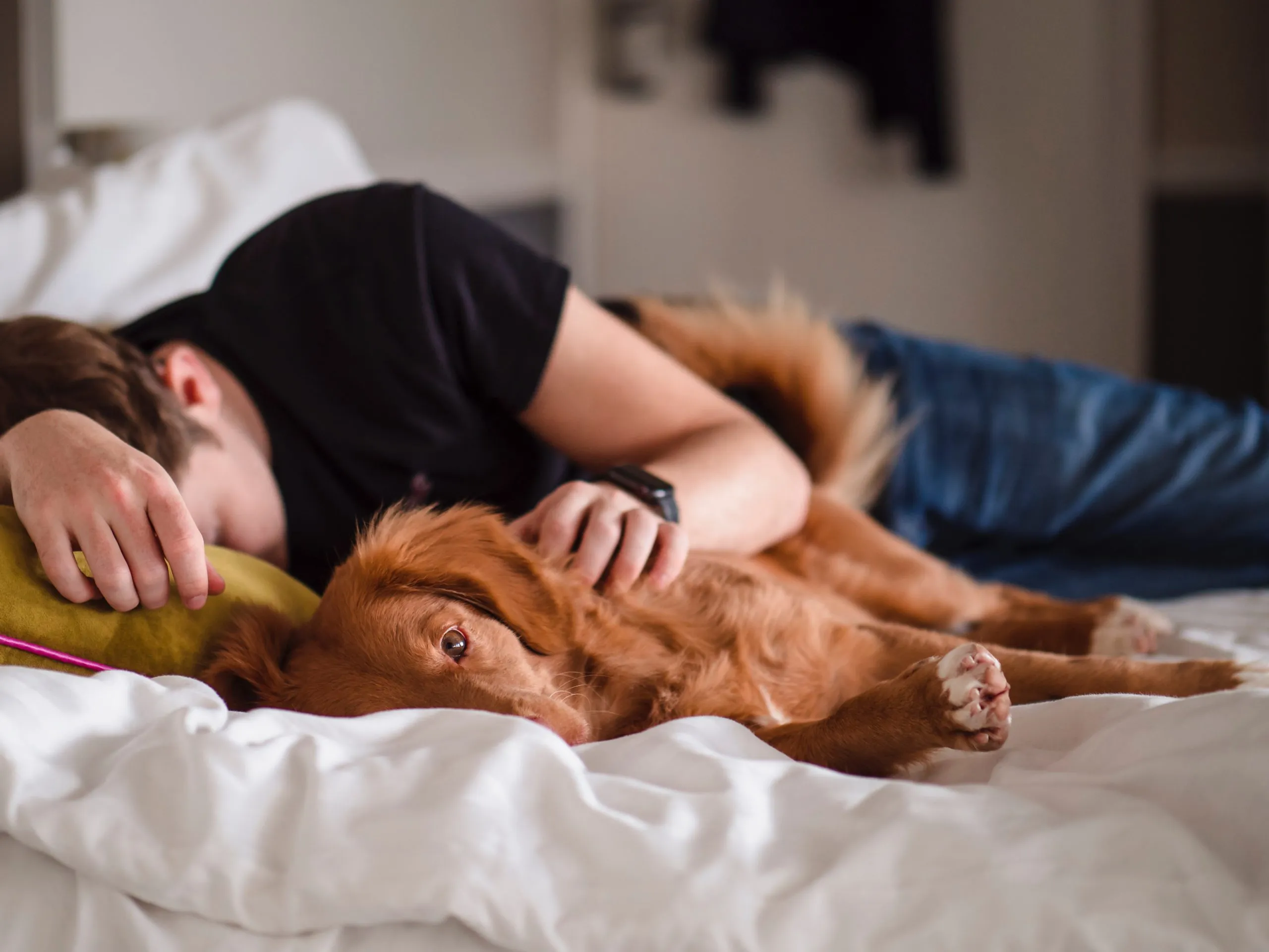 Man laying in bed with dog, illustrating companionship and support