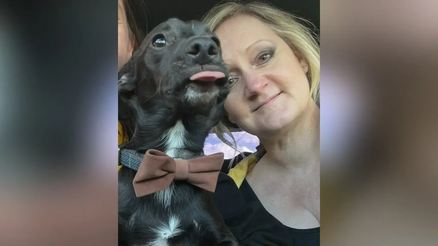 Melanie Gassman next to her dog Harry, a black wiry-haired chihuahua-cross wearing a dark red bow tie, symbolizing the bond between pets and their owners.