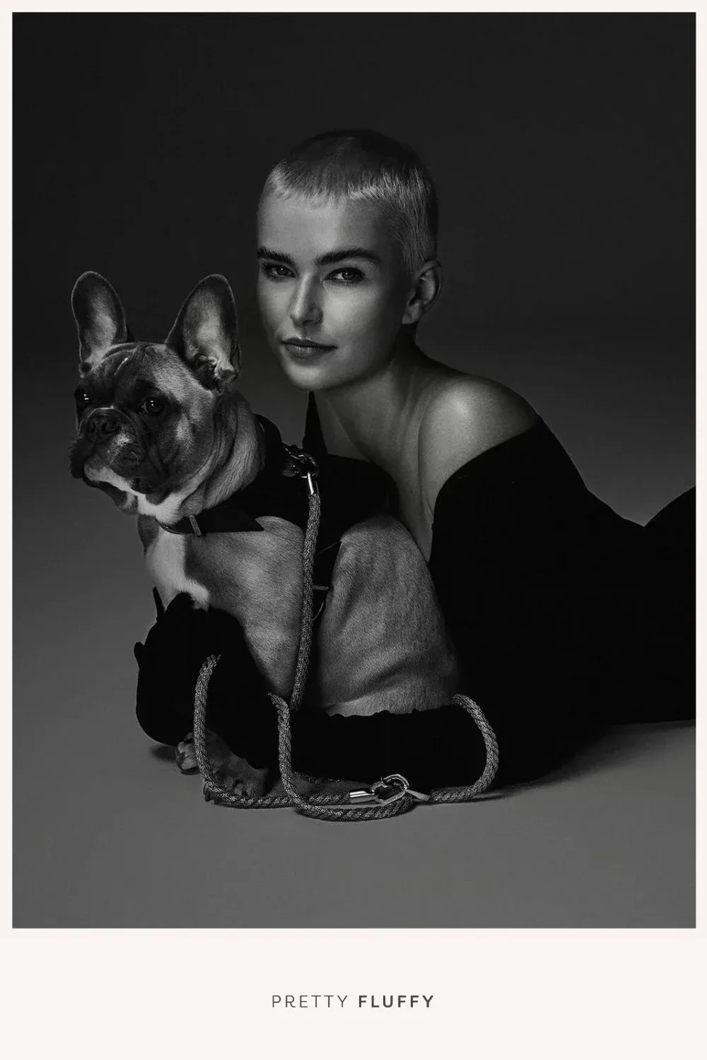 MEOMARI Black Saffiano Leather Dog Harness, showcasing its scratch-resistant Italian leather