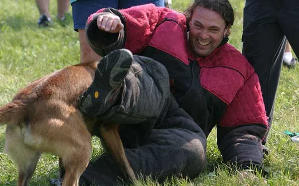Michael Ellis demonstrating a training technique with a dog