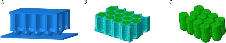 Micro-scale FE model assembly of dog paw pad epidermis, including stratified epithelium cube with dermal papillae cylinders, top plate, and ground