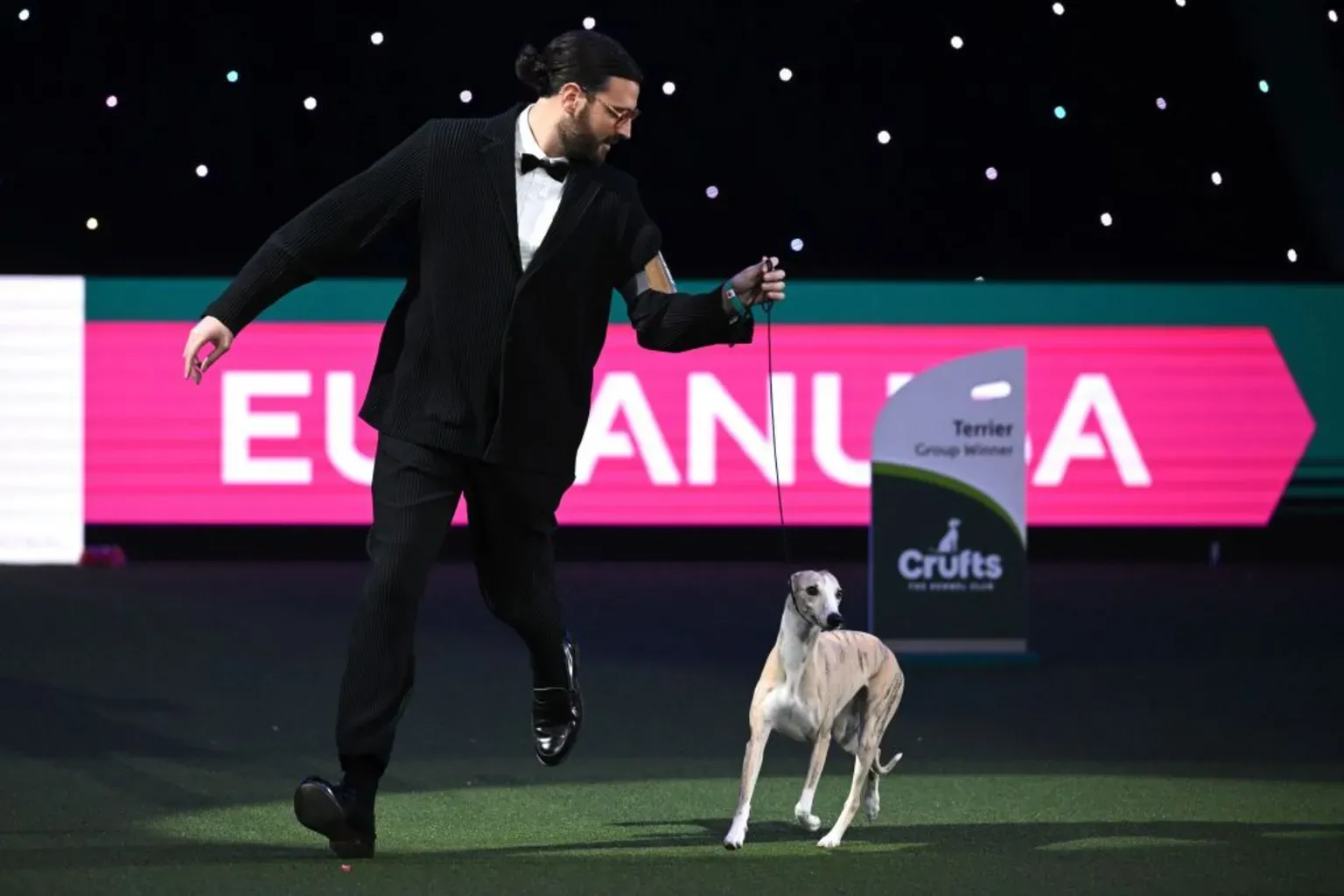 Miuccia, a whippet, runs around the ring with owner Giovanni Liguori, wearing a tuxedo, after winning Best in Show.