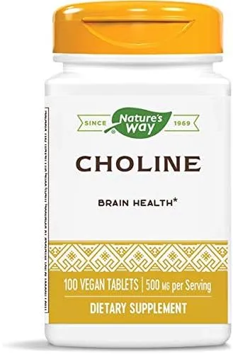 Nature’s Way Choline (500mg) Tablets