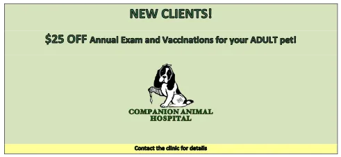 New client coupon for veterinary services