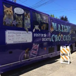 New purple cat bus used by the Amazing Acro-Cats troupe