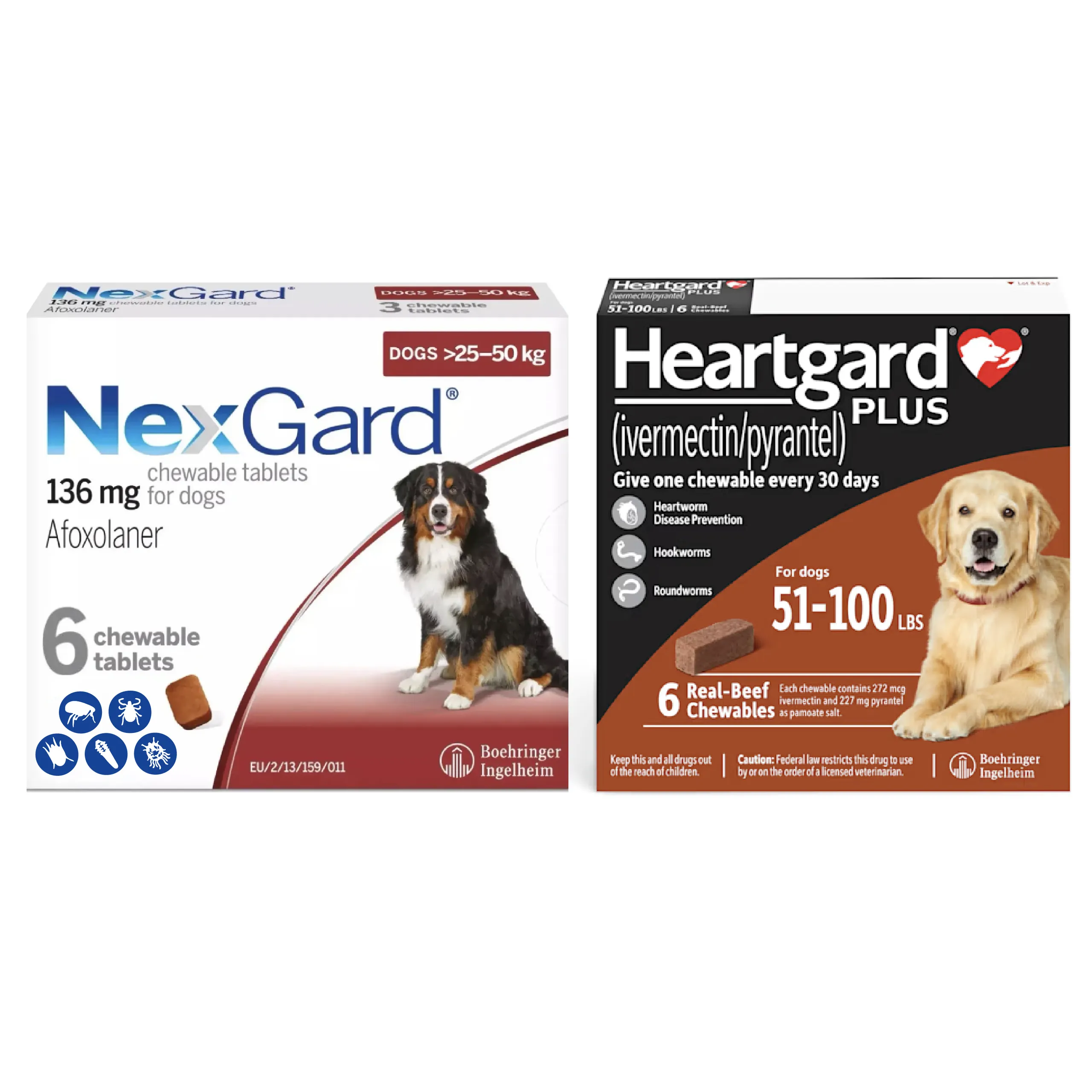 NexGard and Heartgard Plus combo pack for complete protection