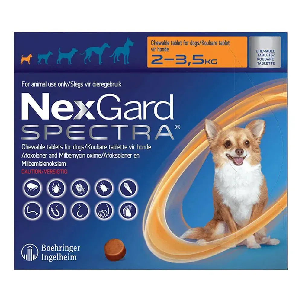 Nexgard Spectra tab for extra small dog packaging