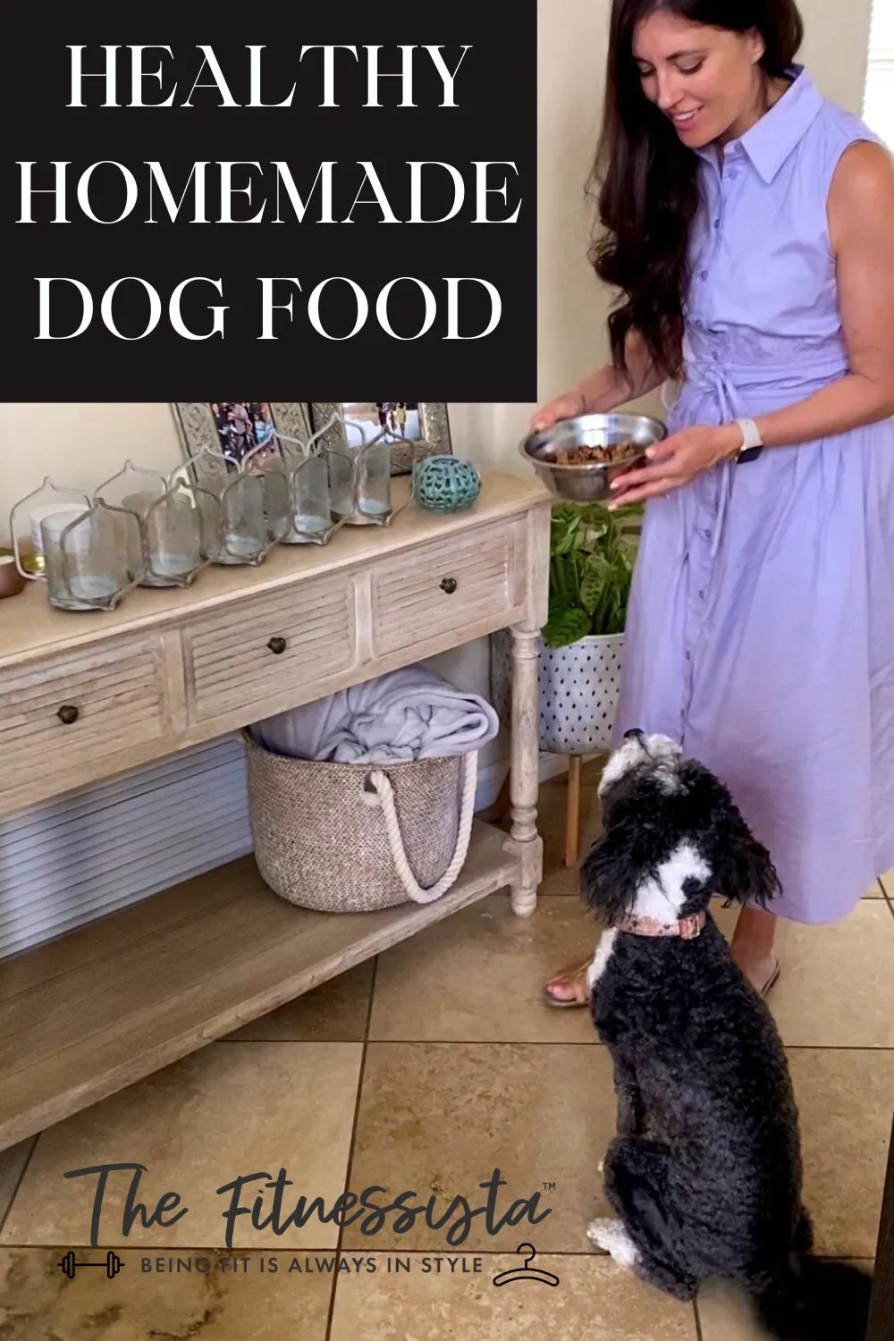 Nutrient-rich homemade dog food in a bowl