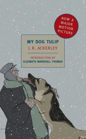 NYRB Classics edition cover of My Dog Tulip, featuring the dog's story