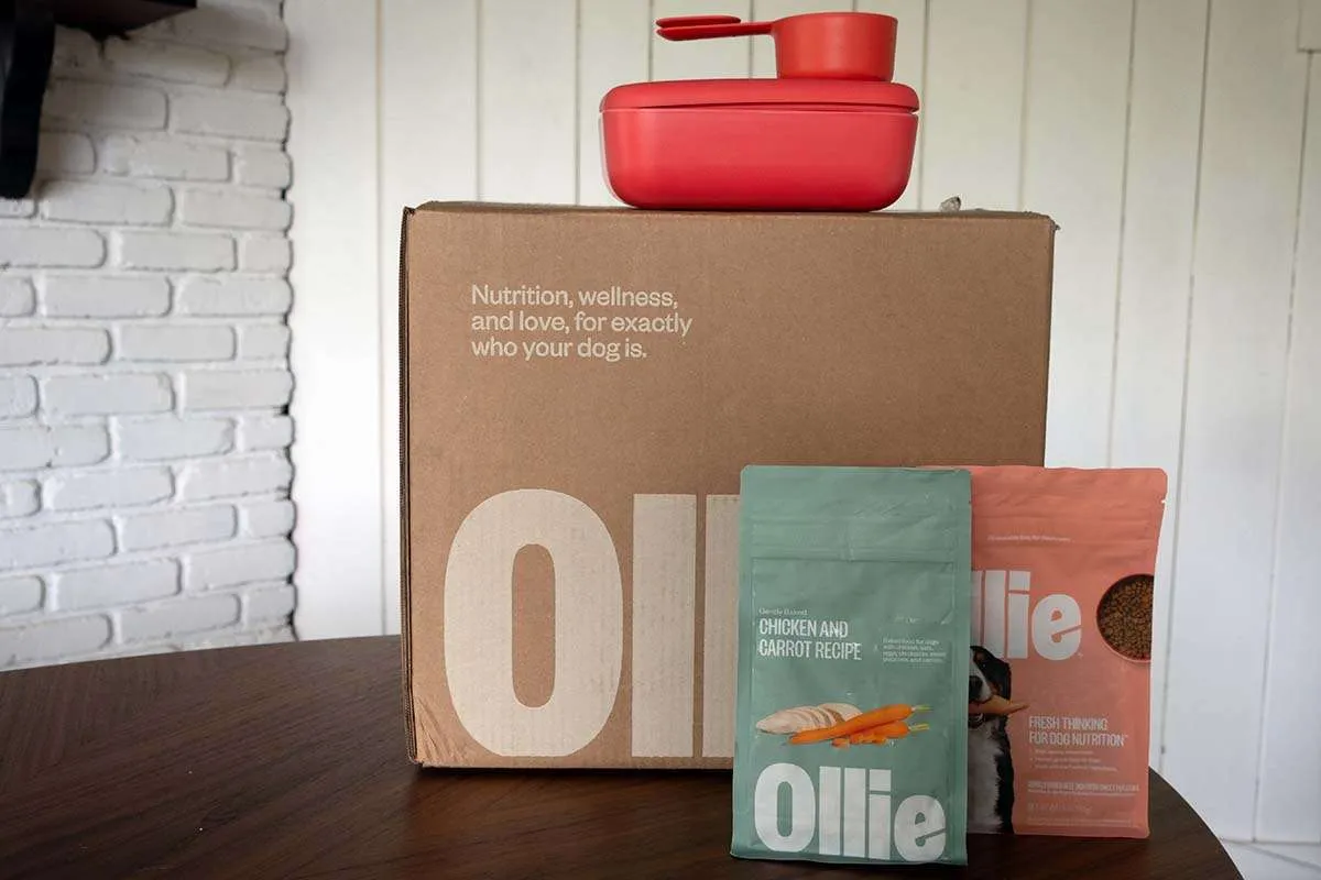 Ollie’s baked recipes