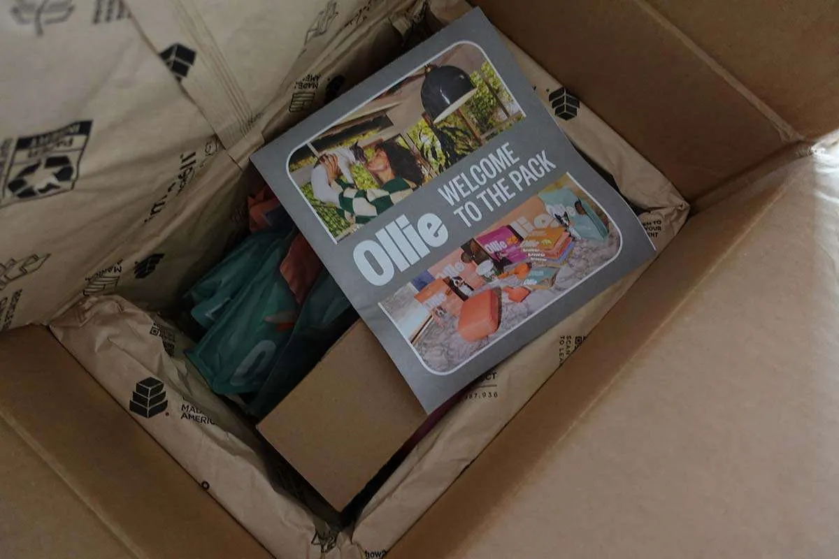 Ollie’s welcome box