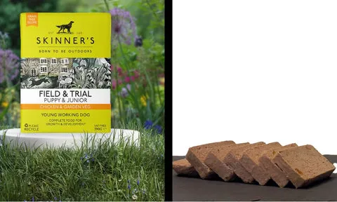 Opened can of Skinner's wet puppy food showing chicken and vegetable chunks.