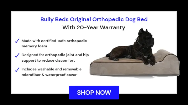 Orthopedic Bully Bed, featuring a durable design and a 20-year warranty, ideal for large dogs