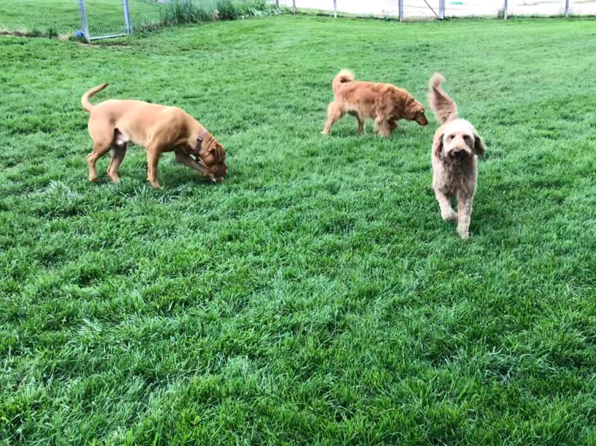 Outdoor play area with comfortable amenities