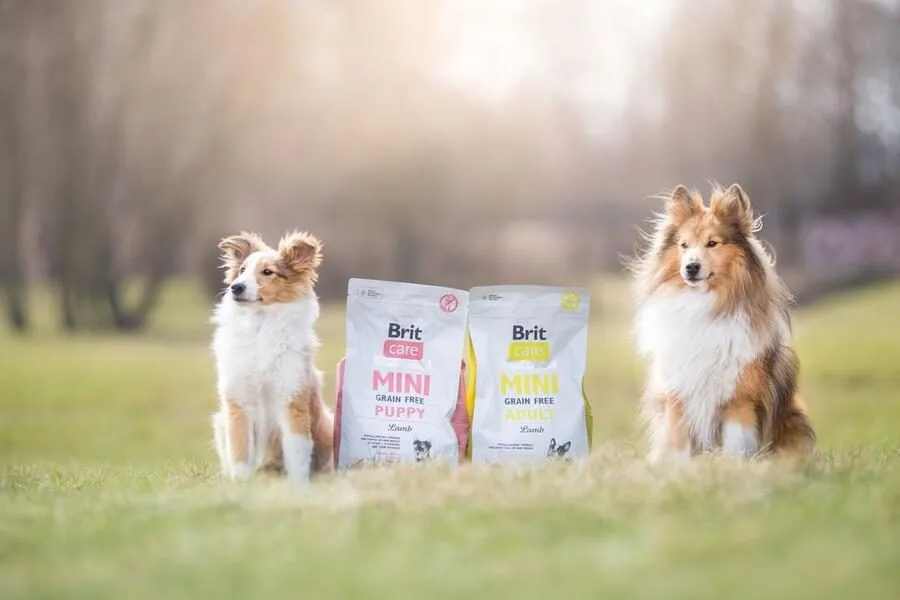 Packaging of Brit Care Mini GF Puppy Lamb, showcasing its "grain-free" and "hypoallergenic" features.