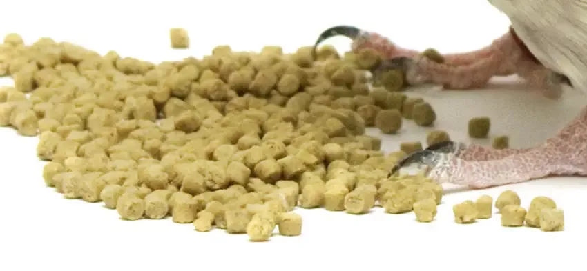 Parakeet food pellets