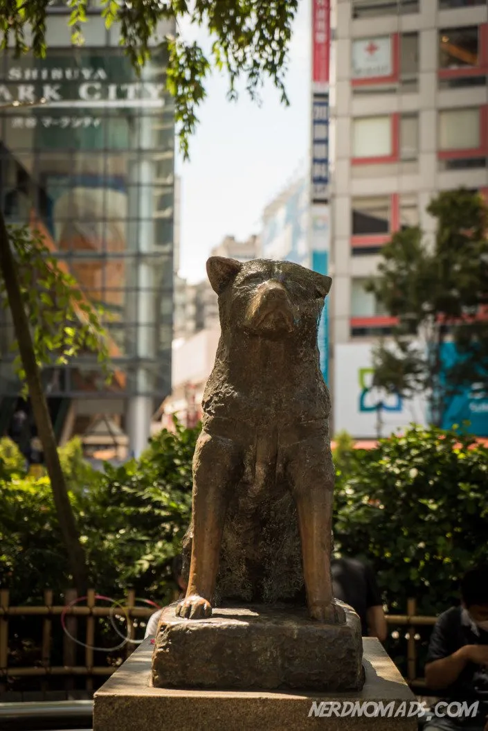 People gathered around the famous Hachiko bronze statue outside Shibuya Station in Tokyo