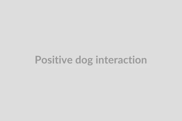 Person petting a dog lovingly, reinforcing a positive interaction