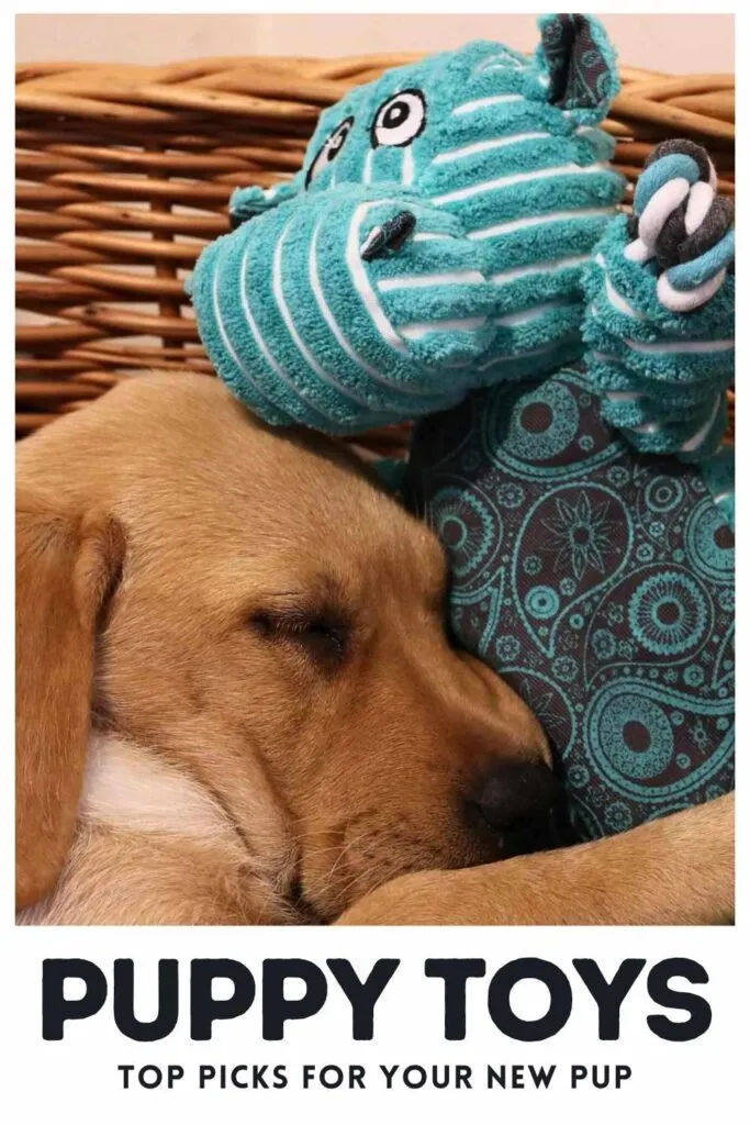 Photo of a sleeping yellow Labrador puppy in a basket with a Kong hippo toy