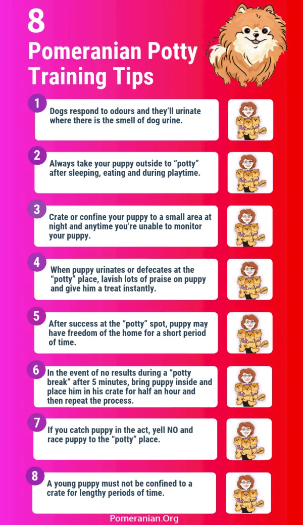 Pomeranian potty training progress chart