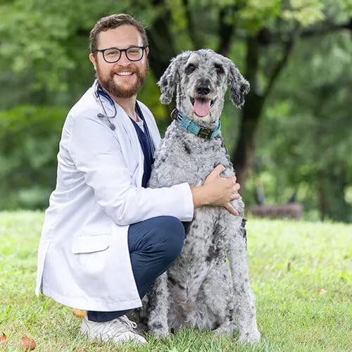 Portrait of Dr. Shawn Budge, Managing Veterinarian and Partner