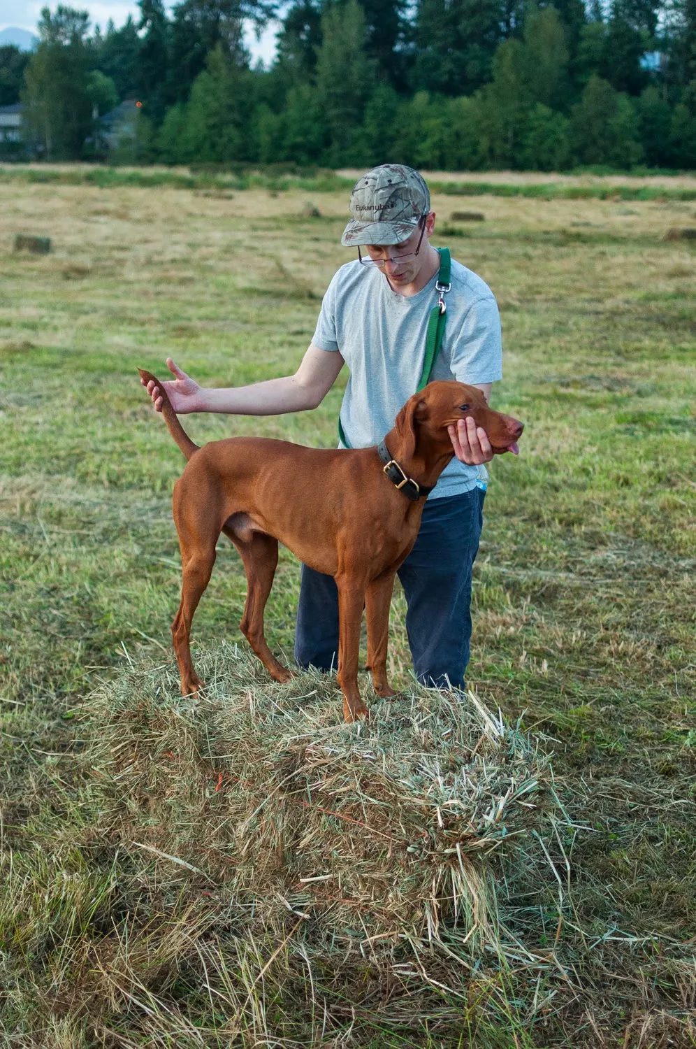 Practicing “Whoa”
