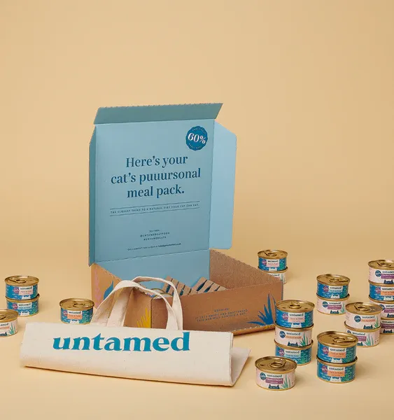 Premium food bowl prepared for a Himalayan Siamese cat