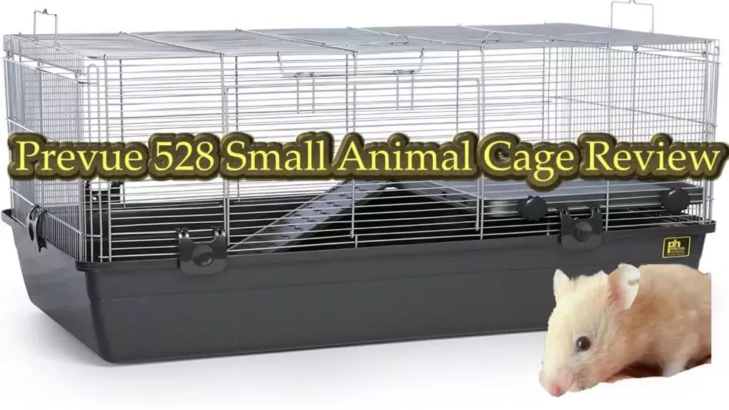 Prevue 528 Small Animal Cage Review YouTube thumbnail showing the cage setup