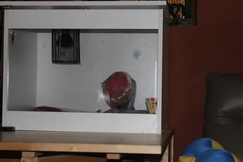 Quiet spot for the bird hospital setup to promote calm recovery