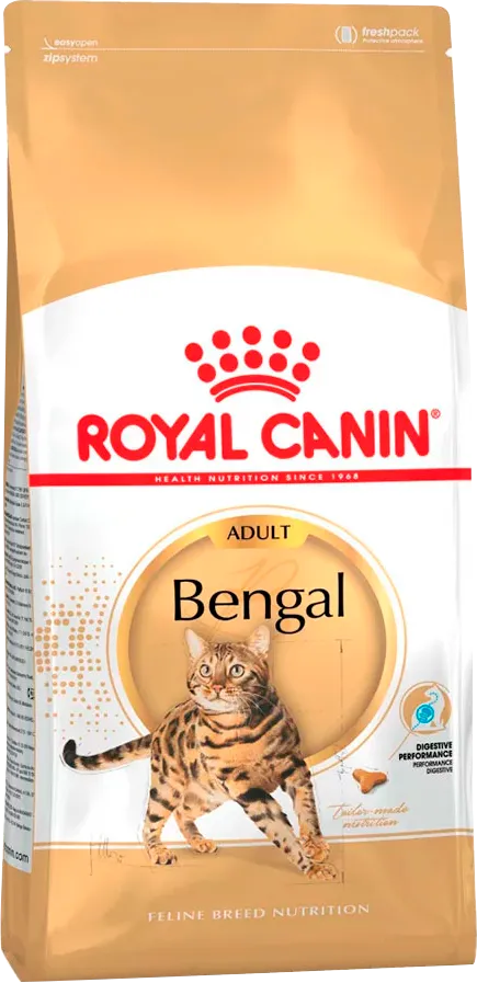 rc bengal