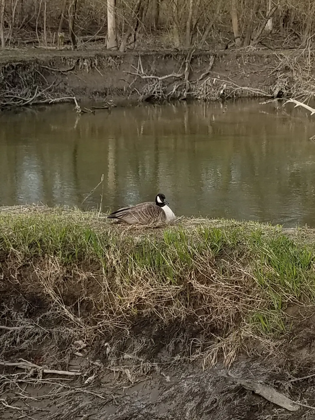 Resized_20200416_124935