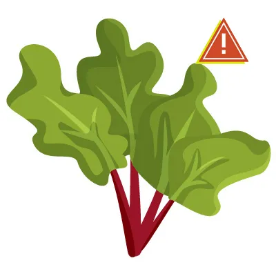 Rhubarb stalks and leaves