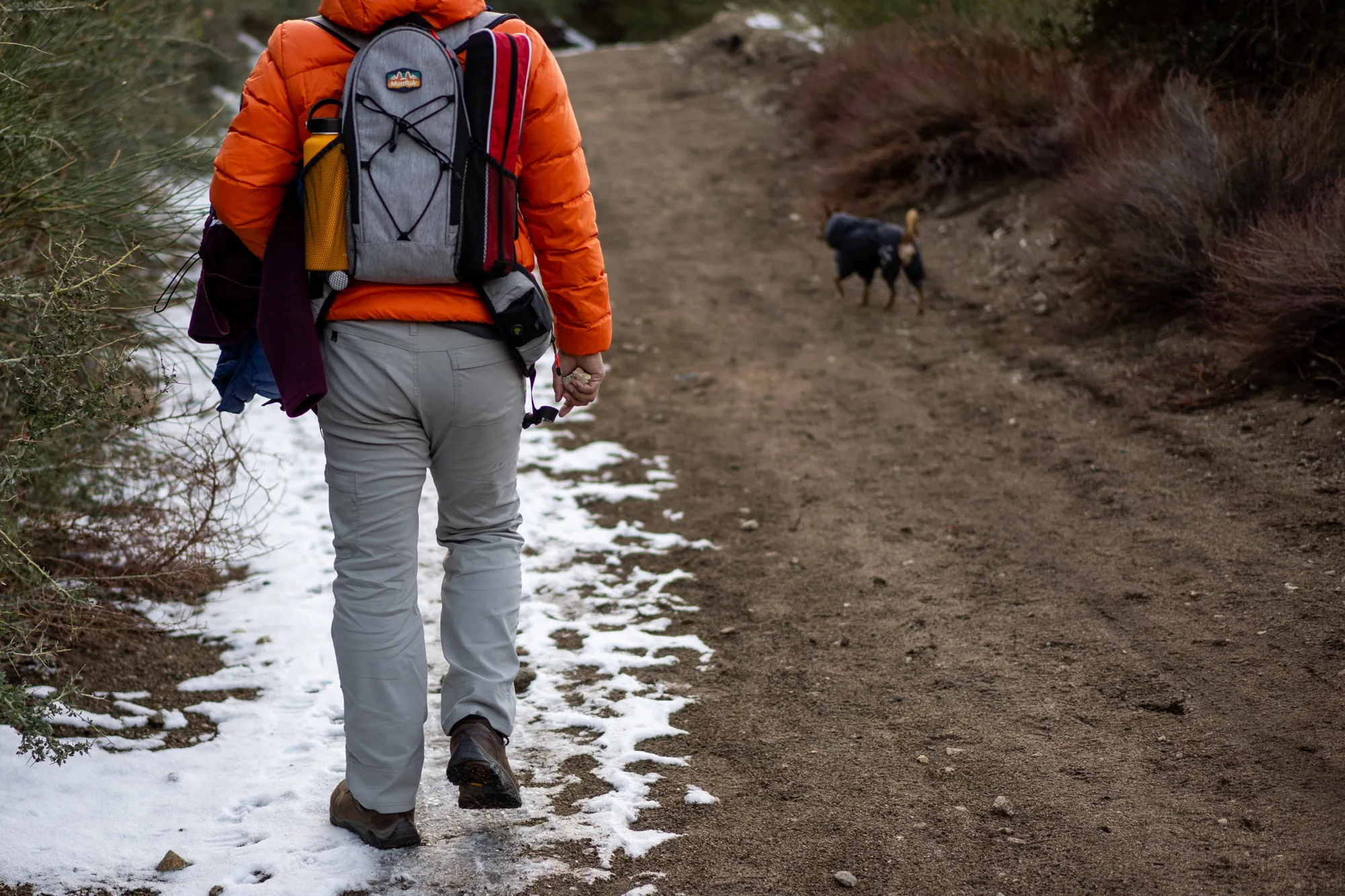 Robin avoiding snow, highlighting his dislike for cold weather
