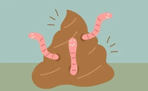 Roundworms and tapeworm segments in dog stool