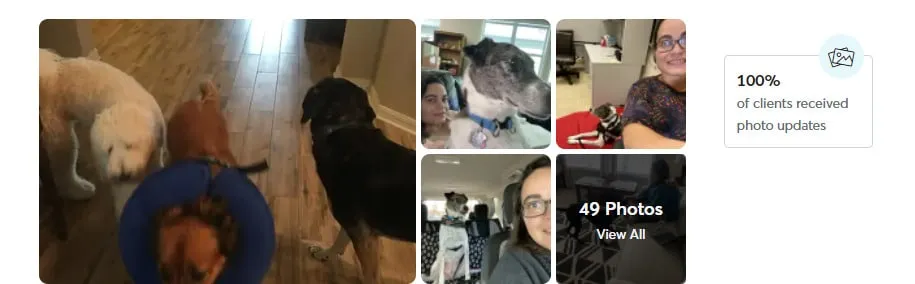 Rover profile photos