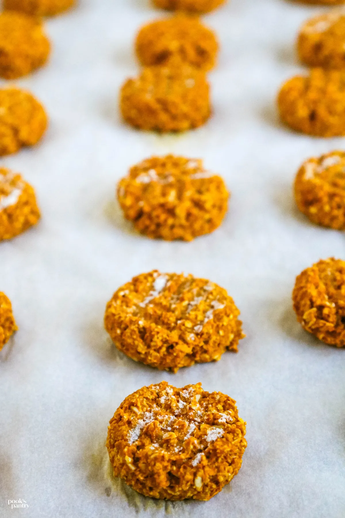 Scooped, unbaked pumpkin dog treats neatly arranged on a baking sheet
