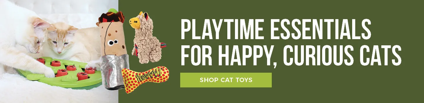 Selection of engaging cat toys to enhance training and play