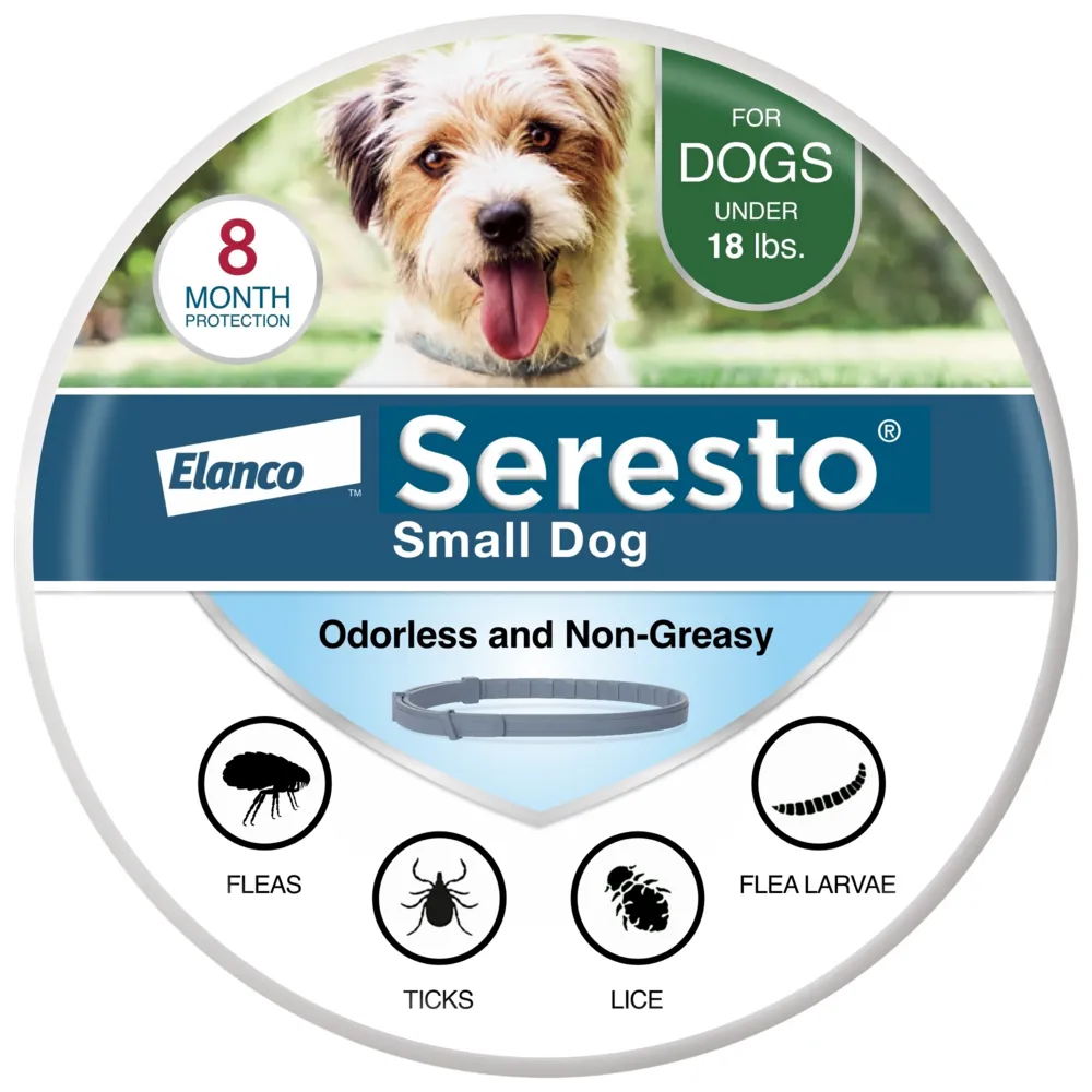 Seresto Flea and Tick Collar on a dog, designed for long-lasting protection.