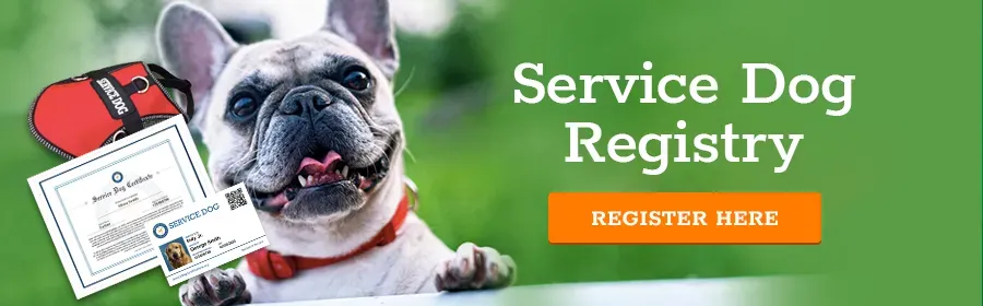 Service Dog Registry Banner