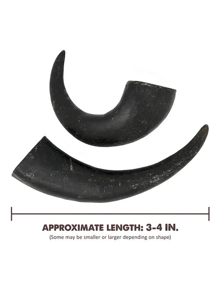 Several buffalo horn chews of different lengths and thicknesses, illustrating the variety in size