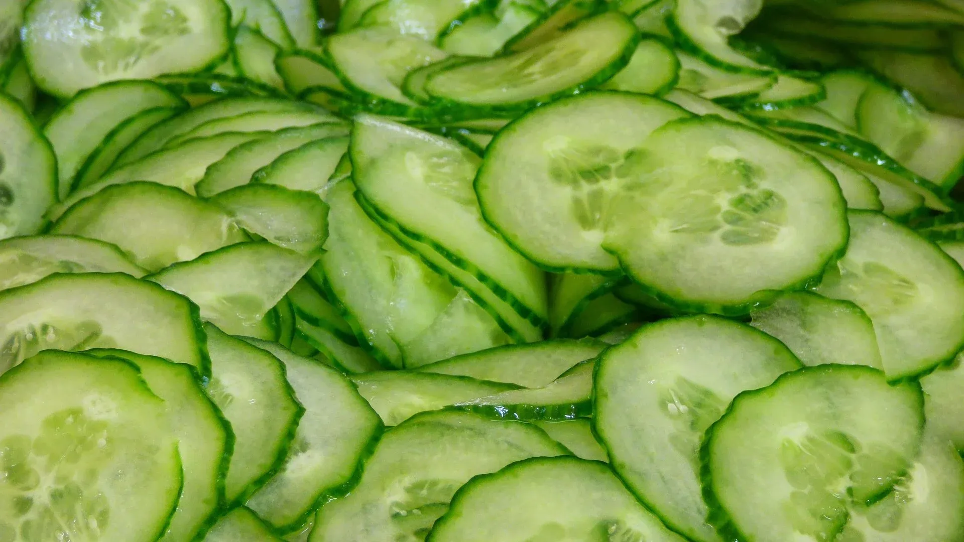 Sliced cucumbers as low-calorie dog snacks