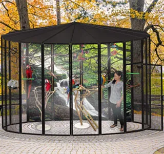 Spacious big bird cage with multiple levels and accessories