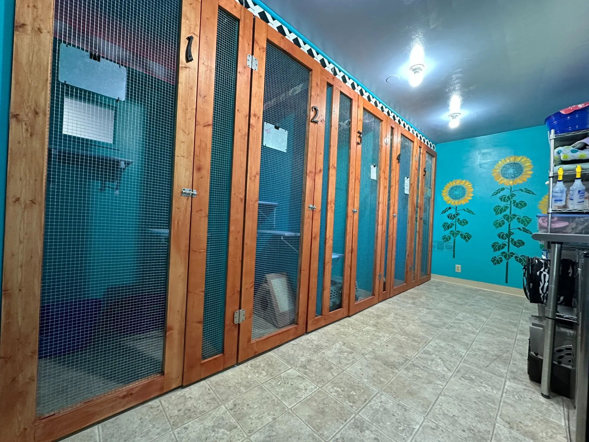 Spacious tabbycat townhouse for active felines