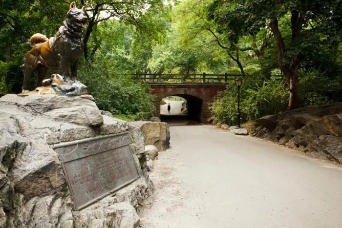 Statue of Balto, the famous husky sled dog, in New York City's Central Park