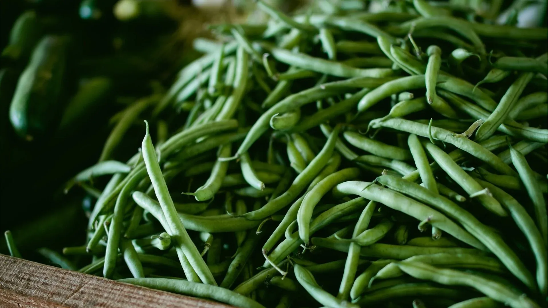 Steamed green beans packed with vitamins for dogs